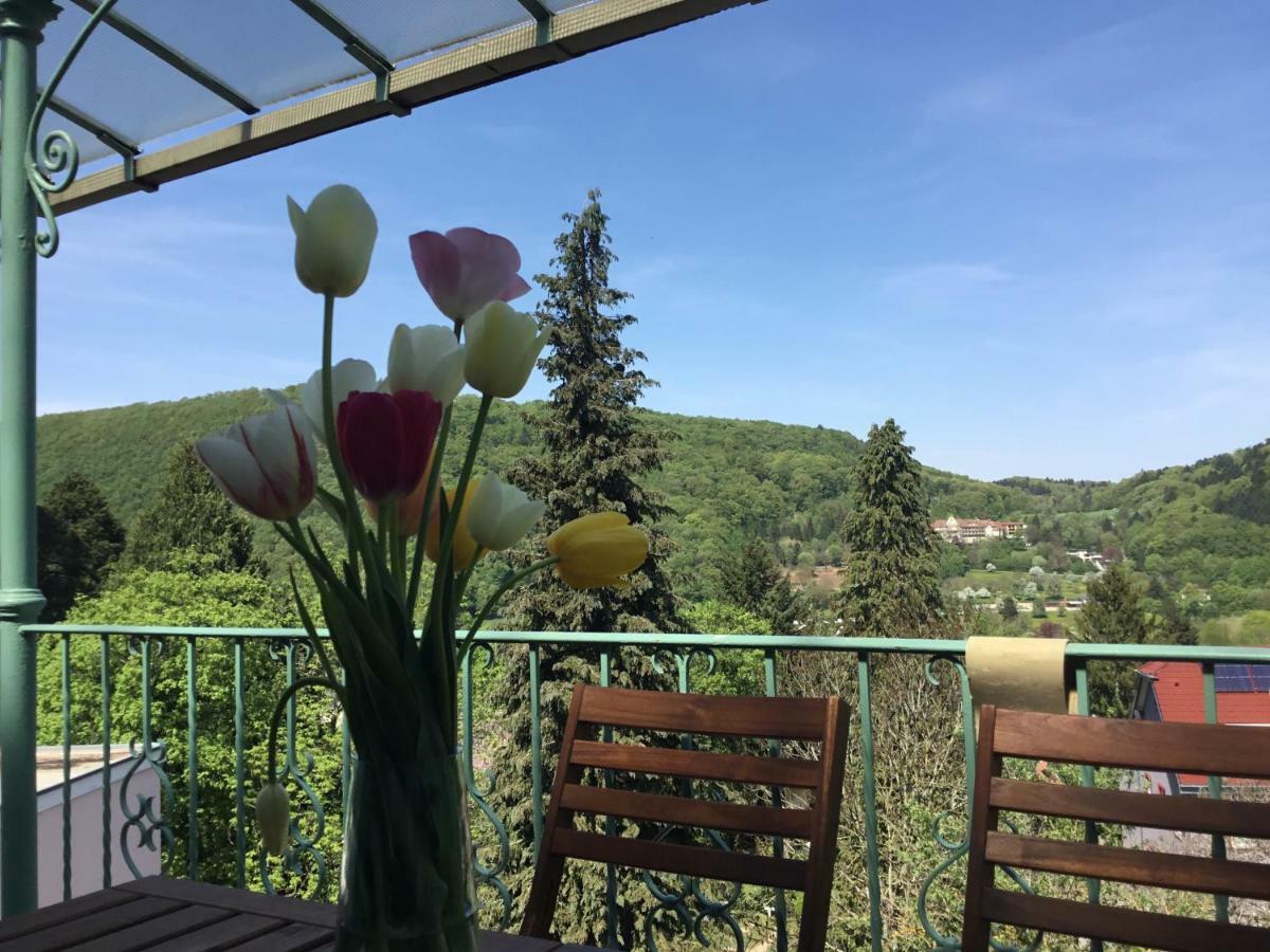 Ferienwohnung Villa Josephine バーデンヴァイラー エクステリア 写真